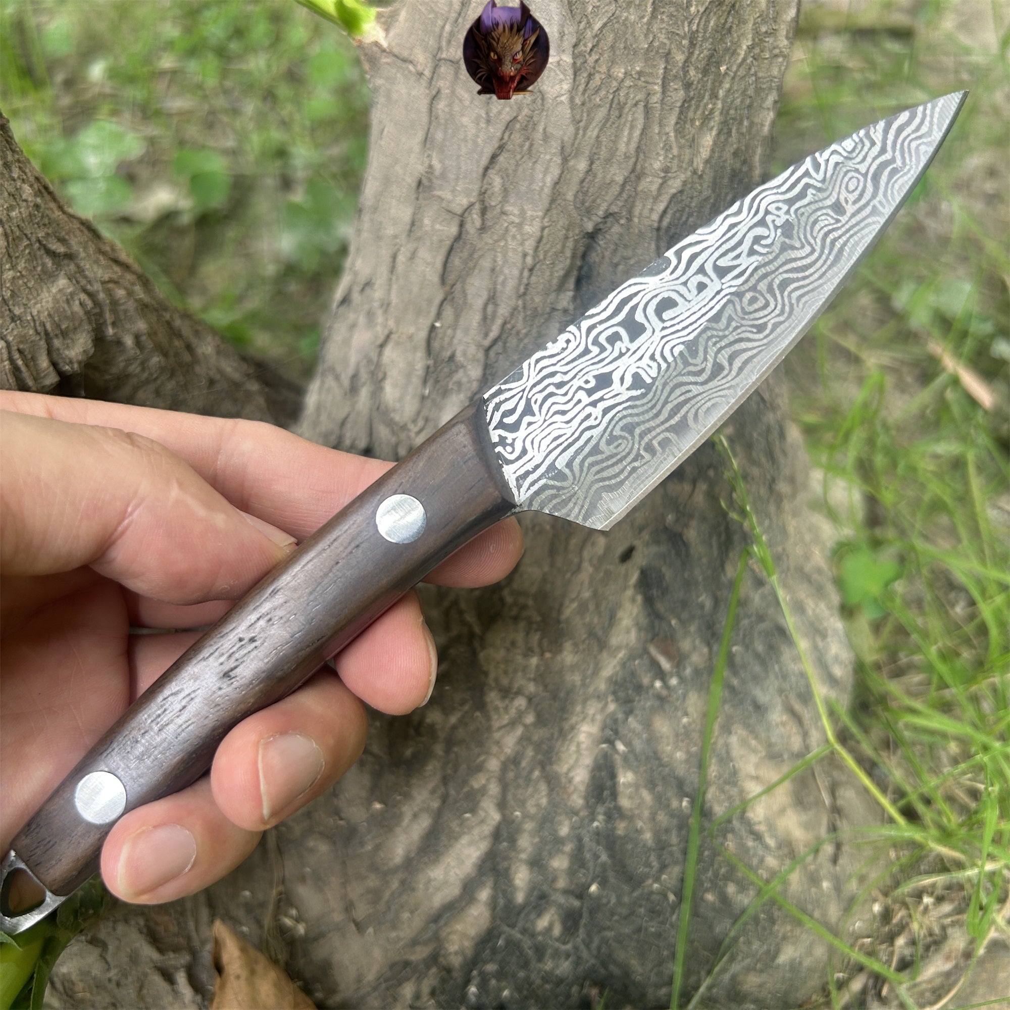Mini Damascus Steel Knife Wood Handle Portable Pocket Knife