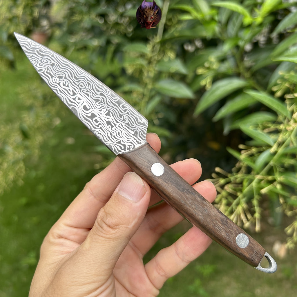 Mini Damascus Steel Knife Wood Handle Portable Pocket Knife