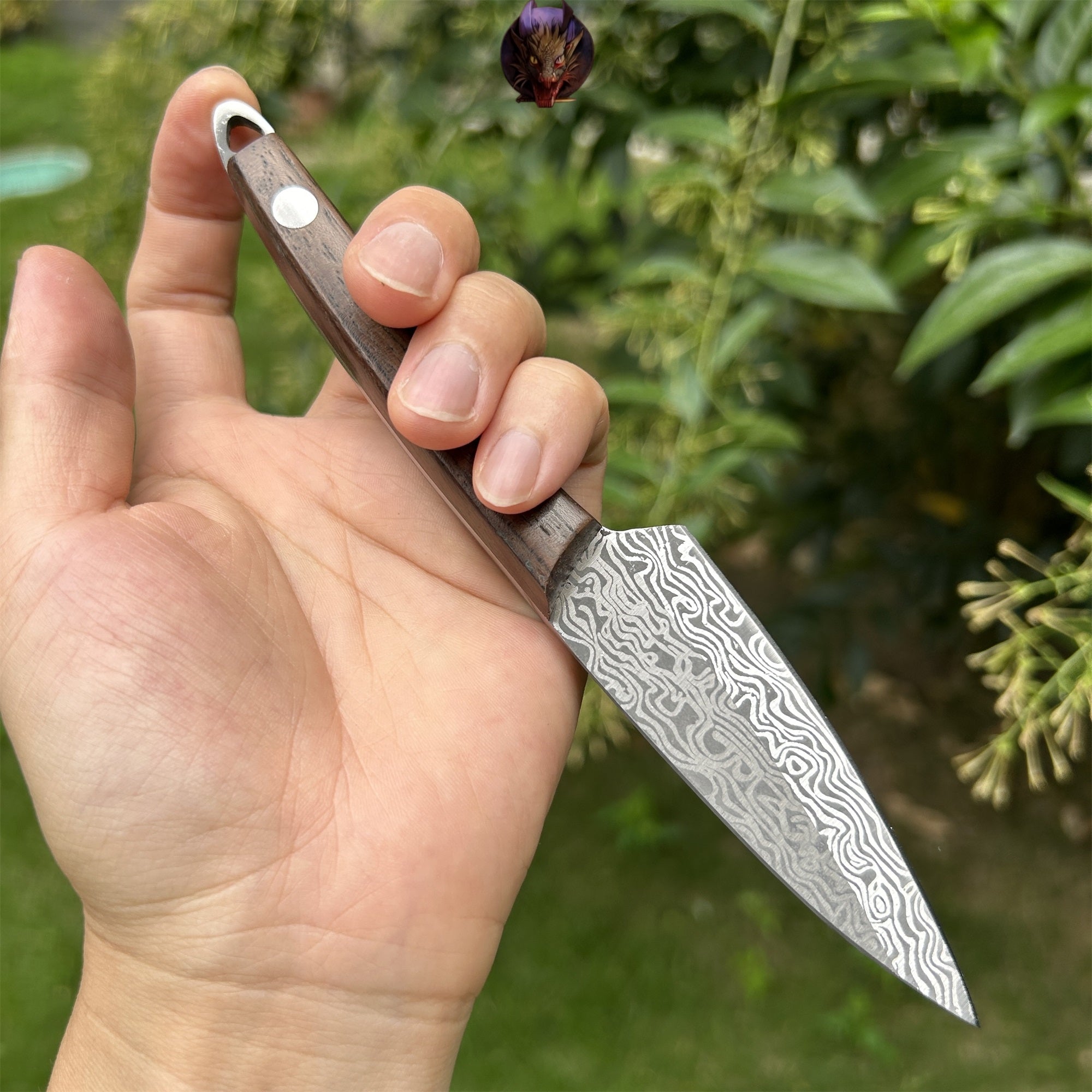 Mini Damascus Steel Knife Wood Handle Portable Pocket Knife