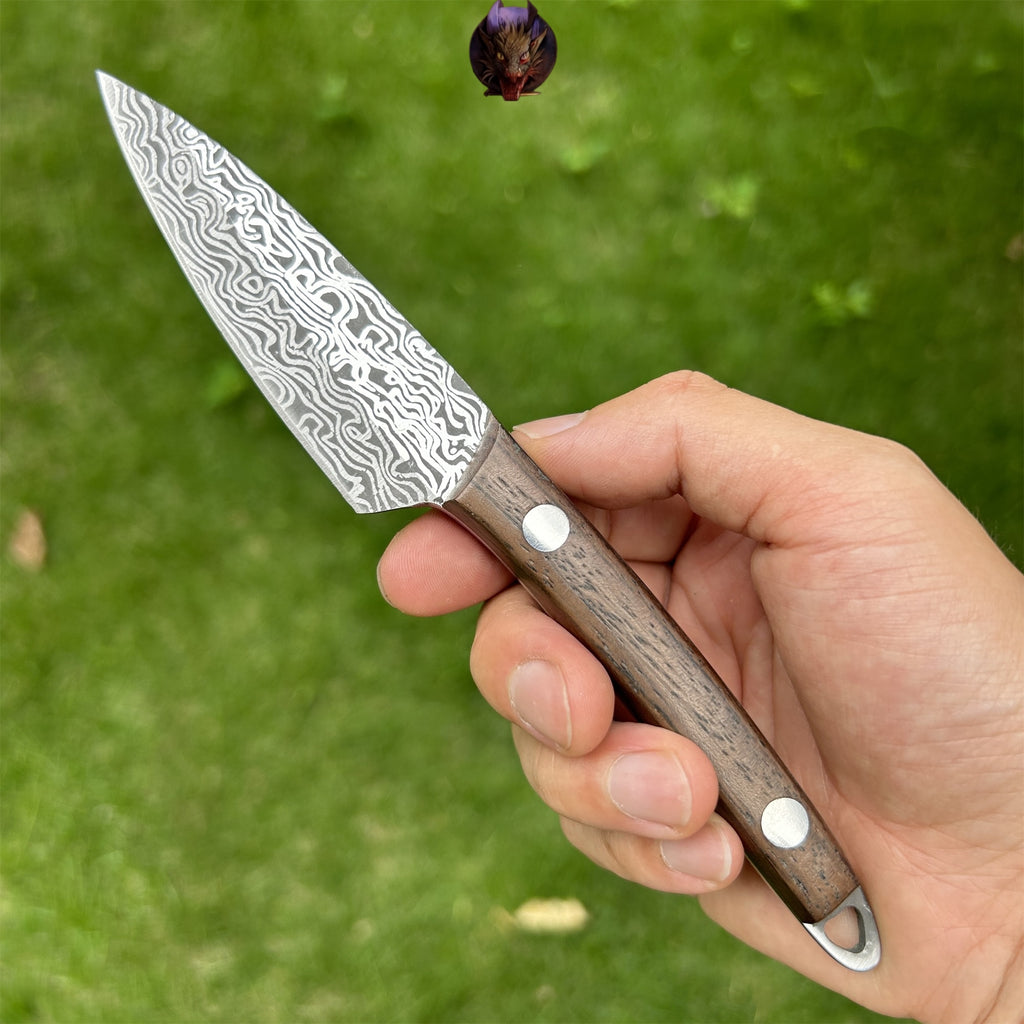 Mini Damascus Steel Knife Wood Handle Portable Pocket Knife