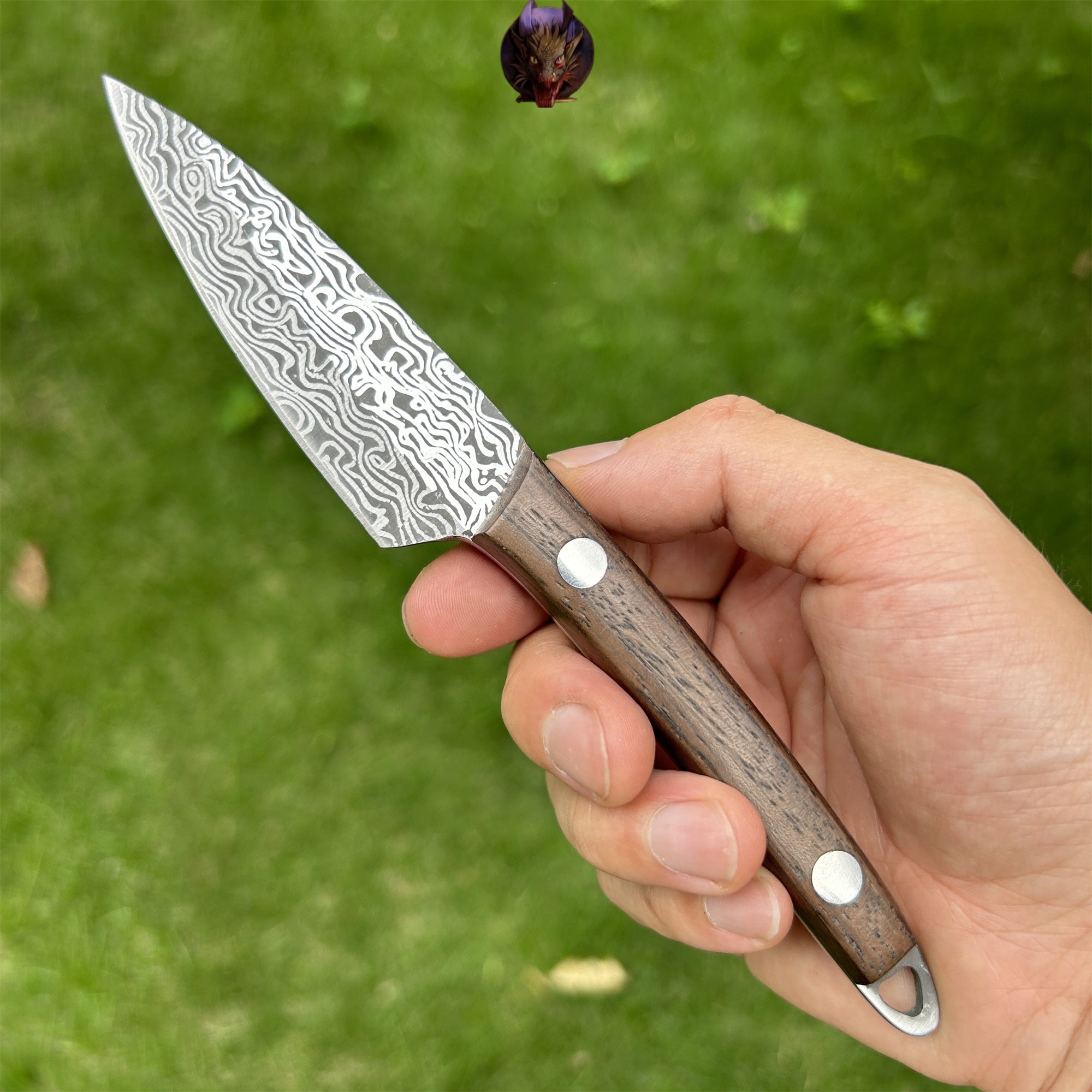 Mini Damascus Steel Knife Wood Handle Portable Pocket Knife