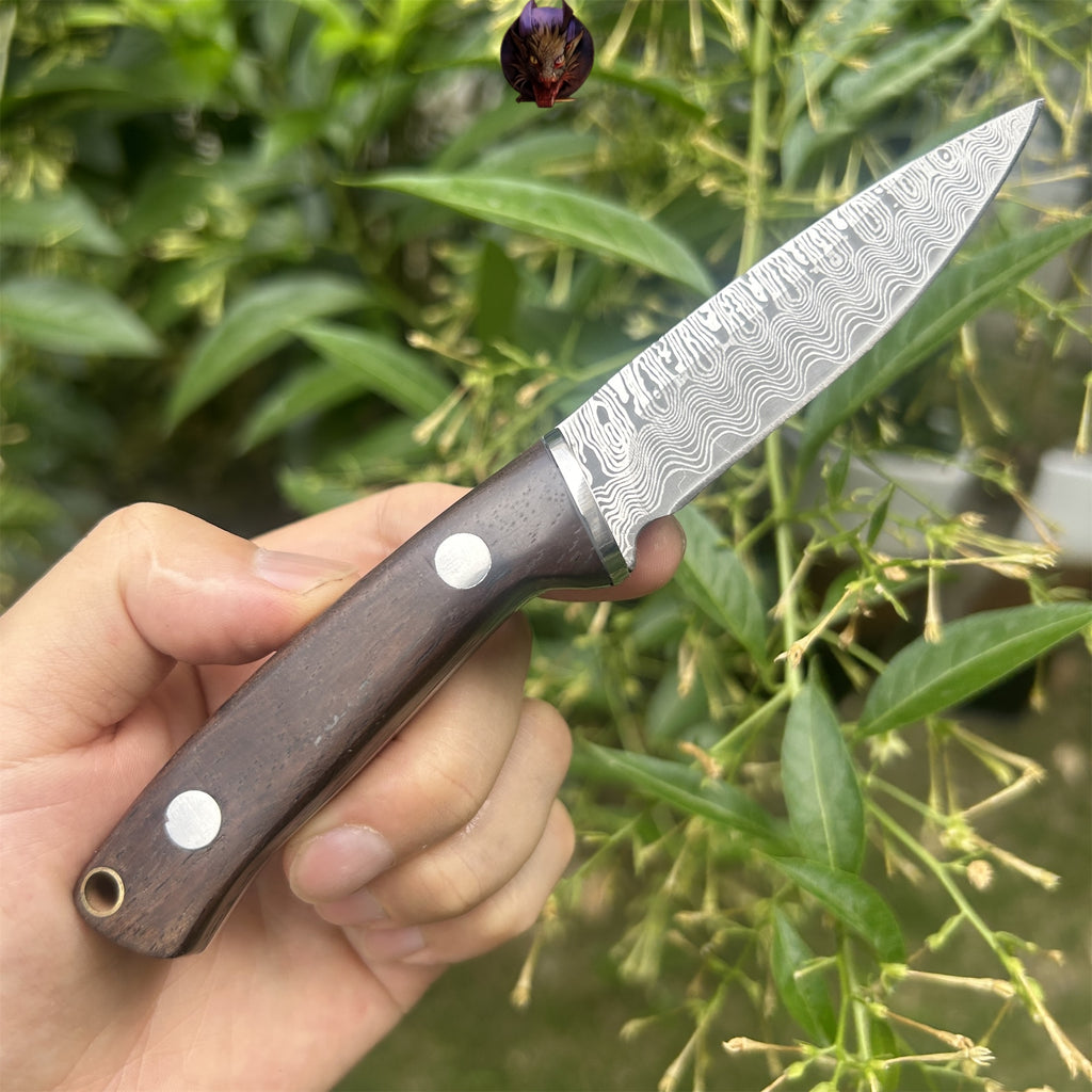 Wooden Handle Mini Damascus Sharp Knife