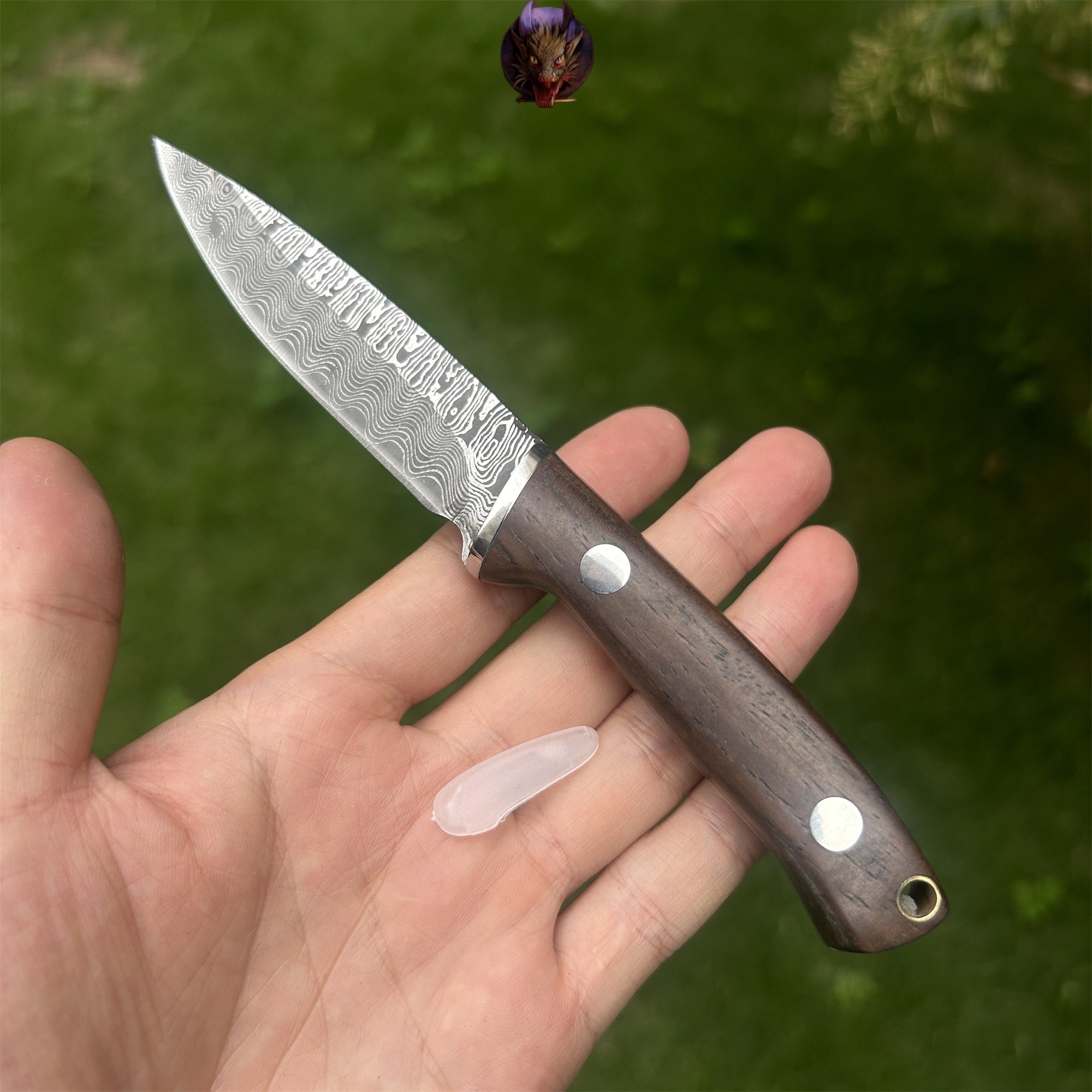 Wooden Handle Mini Damascus Sharp Knife