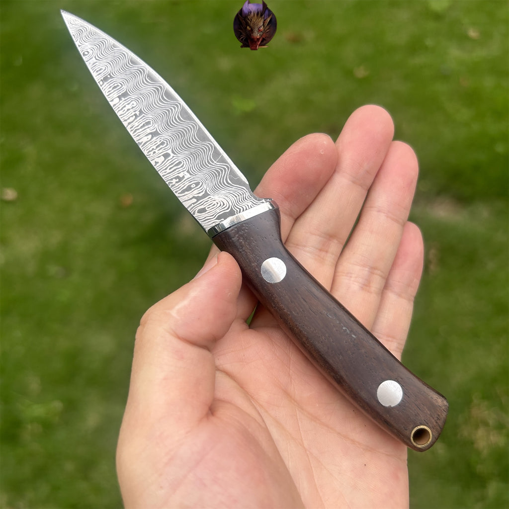 Wooden Handle Mini Damascus Sharp Knife