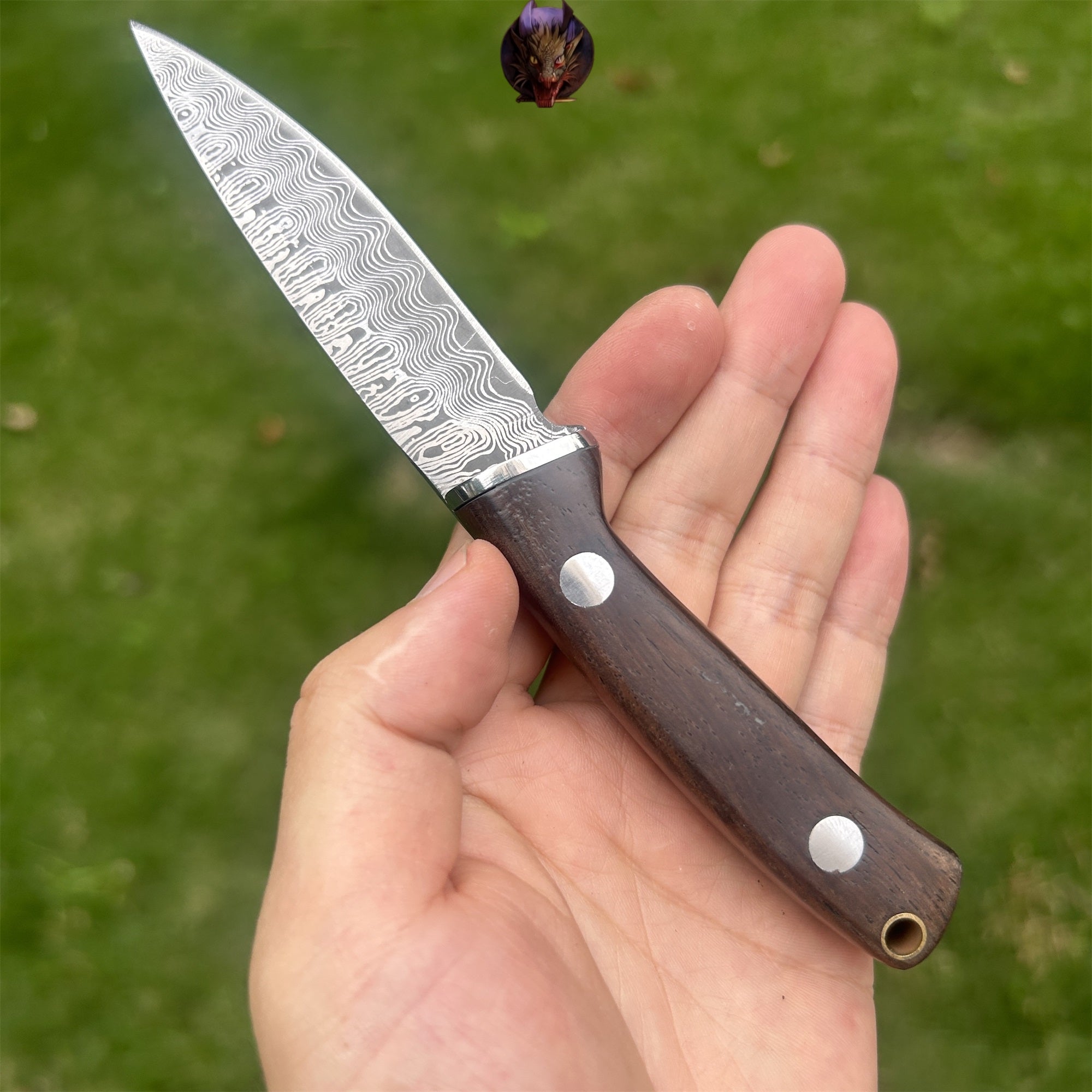 Wooden Handle Mini Damascus Sharp Knife