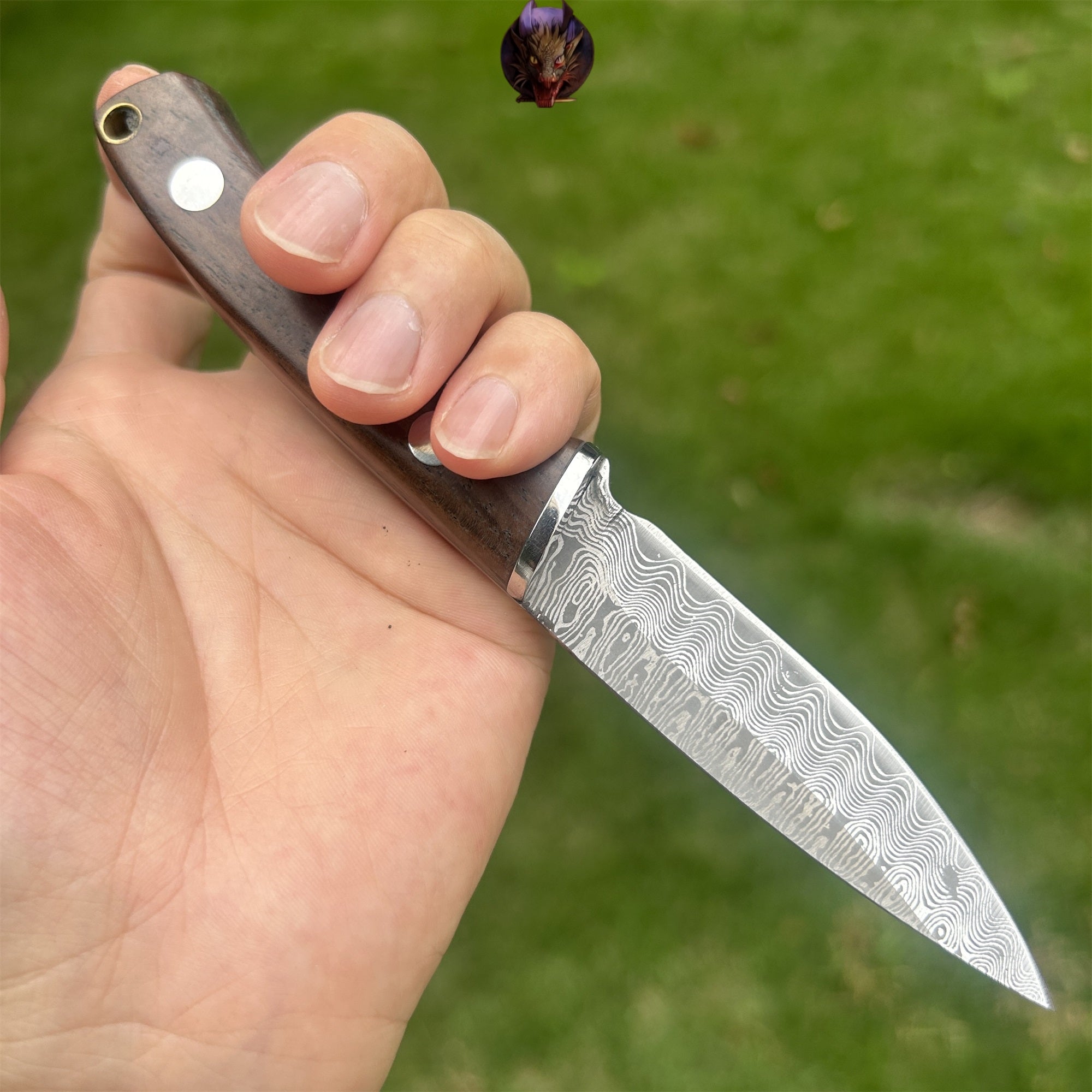 Wooden Handle Mini Damascus Sharp Knife