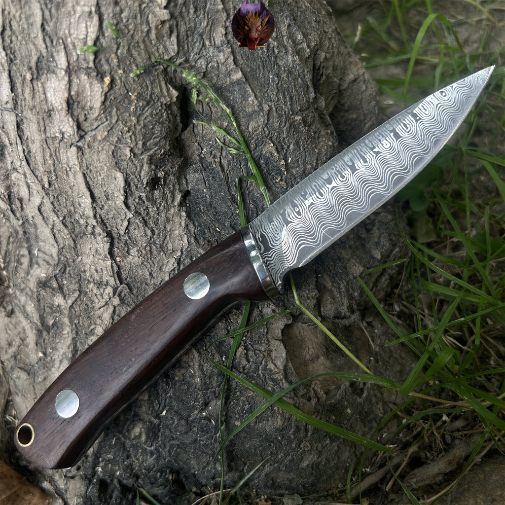 Wooden Handle Mini Damascus Sharp Knife