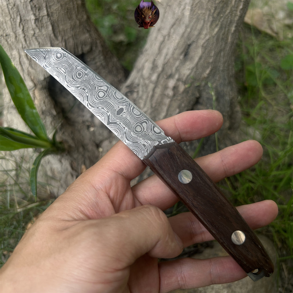 Mini Damascus Wooden Handle Sharp Knife