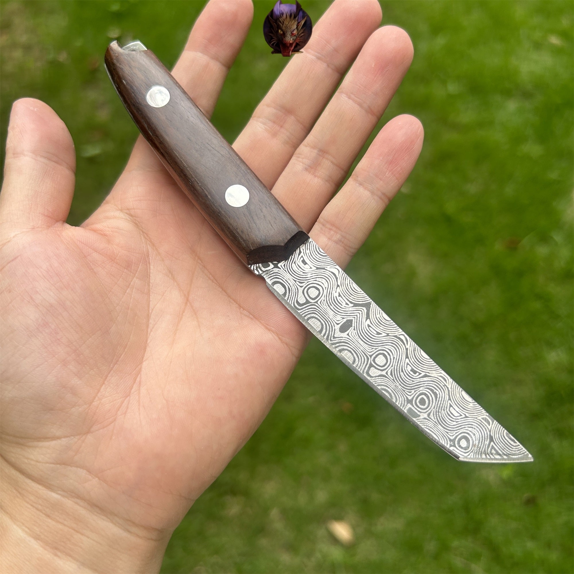 Mini Damascus Wooden Handle Sharp Knife