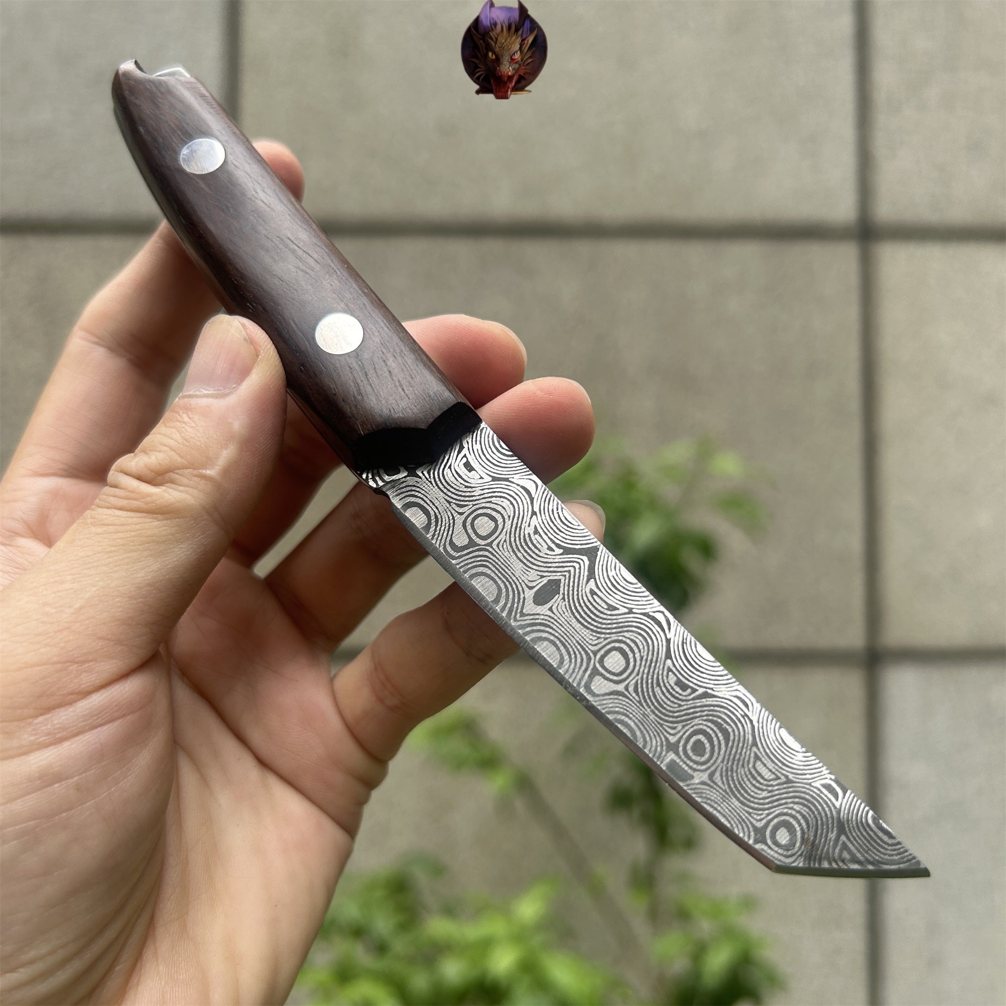 Mini Damascus Wooden Handle Sharp Knife