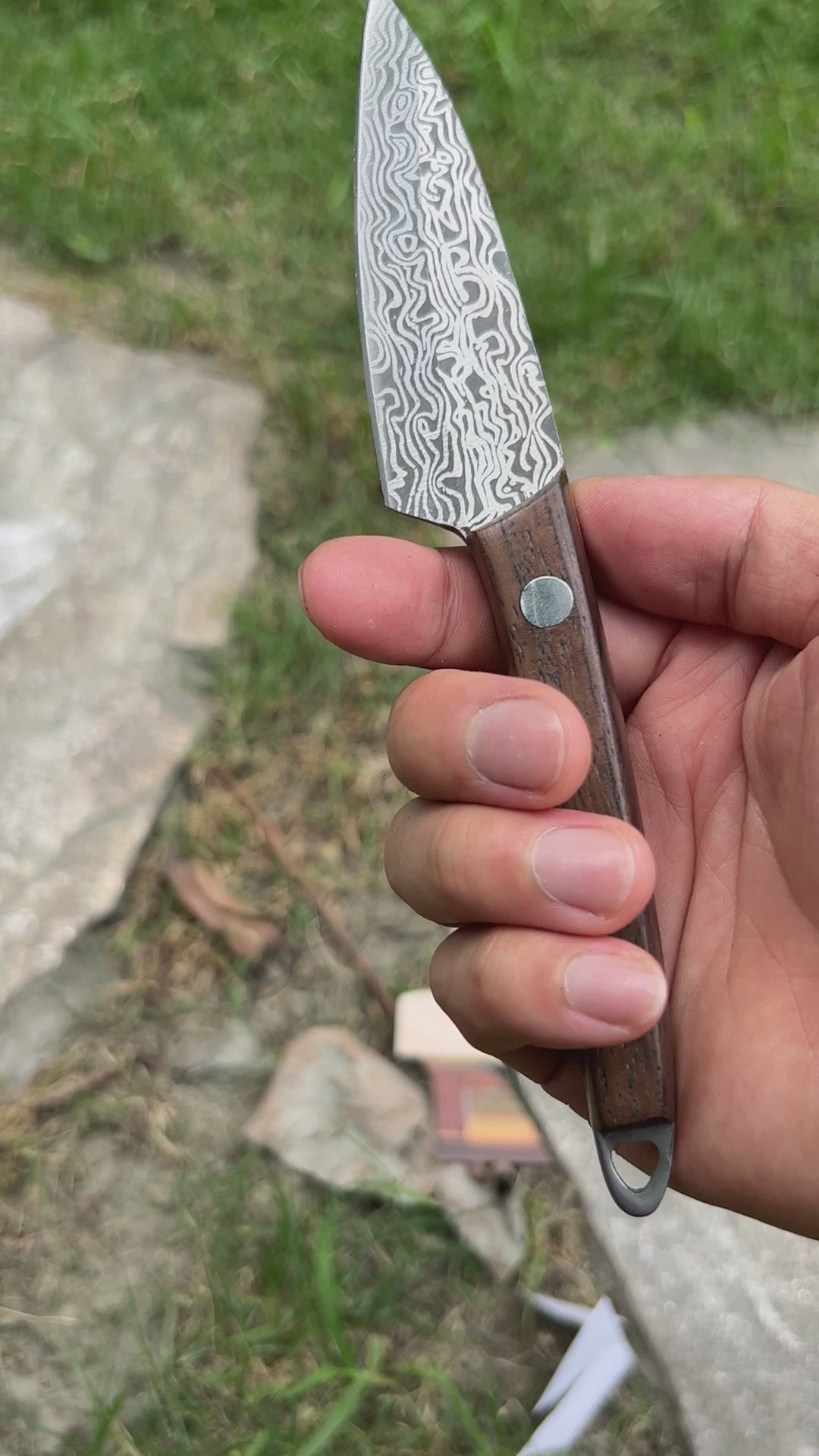 Mini Damascus Steel Knife Wood Handle Portable Pocket Knife