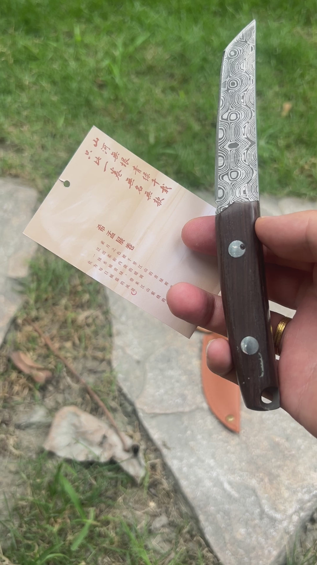 Mini Damascus Wooden Handle Sharp Knife