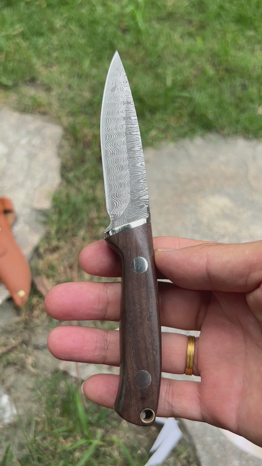 Wooden Handle Mini Damascus Sharp Knife